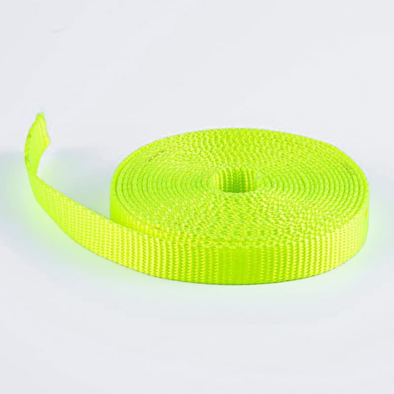 2.0cm Fluorescent Viridis Repugnans Polyester Pet Training Leash Webbing